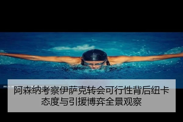 阿森纳考察伊萨克转会可行性背后纽卡态度与引援博弈全景观察